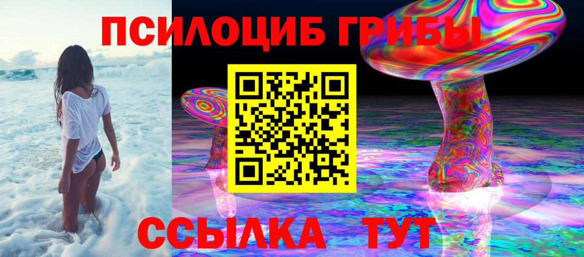 Иваново  Псилоцибиновые грибы GOLDEN TEACHER  Вход с VPN 