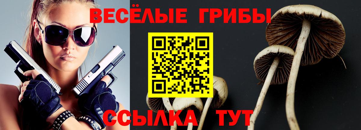Псилоцибиновые грибы MAGIC MUSHROOMS Иваново